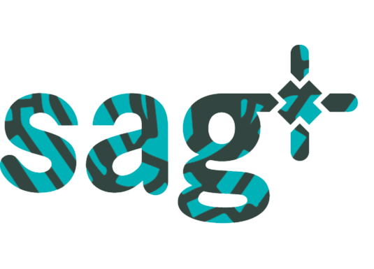 SAG-removebg-preview